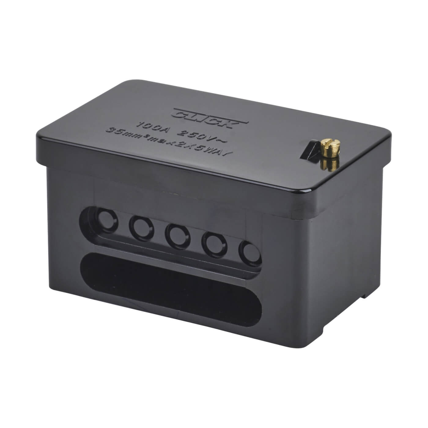 100A Double Pole Connector Block Black ElectricalDirect